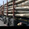 La Gâlgău și Hida, transporturi ilegale de lemne