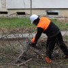 Piatra-Neamț: Toaletări de arbori și pregătiri pentru crearea unei „micro-păduri urbane”