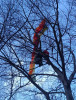 FOTO Un parapantist a rămas agățat într-un copac, la Bunloc