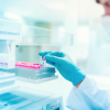 Oamenii de știință creează testicule în laborator într-o nouă speranță pentru infertilitatea masculină