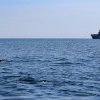 Pescarii români nu mai prind nimic în Marea Neagră