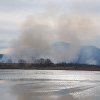 Prăpăd în Delta din Carpați. Zeci de hectare de stufăriș și pășune incendiate VIDEO
