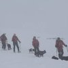 VIDEO Câinii de avalanşă au încheiat cu succes stagiul de pregătire din Munţii Făgăraş