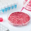 De ce n-ar produce România carne de porc în laborator? Debușeu pentru cerealele autohtone