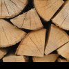 Furt de lemne și abuzuri la Centrul de Plasament din Buzău: Directorul și angajații implicați într-un scandal de proporții