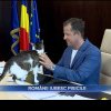 Hubert Thuma, șeful CJ Ilfov, despre proiectul USR de eutanasiere a pisicilor fără stăpân: Soluția nu e uciderea în masă!