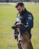 Urgență la Poliția Română: Se angajează 60 de agenți conducători de câini. Lista posturilor disponibile