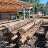 Peste 135 metri cubi de material lemnos, confiscați de polițiști, pe Valea Someșului și Valea Bârgăului
