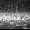Ploi așteptate astăzi în Maramureș. Cât de rece va fi
