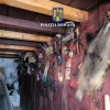 UPDATE PERCHEZIȚII BORȘA SĂLBATICĂ – Zeci de trofee de vânătoare depistate la mai mulți borșeni