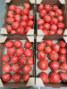 Locuri de muncă în Olanda, pentru depozite de legume-fructe. Salariu de până la 2000 de euro NET