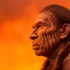 Legea lui Metcalfe sau de ce nu este adevărat că i-am fi mâncat pe neanderthalieni