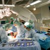 Premieră în medicină: Un rinichi de porc modificat genetic, transplantat la un om în viață
