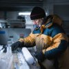 Science Report: Topirea ghețurilor din Antarctica va modifica durata unui an ● NASA a stabilit ce instrumente vor fi plasate pe Lună în cadrul misiunii Artemis III ● SUA confirmă, gripa aviară a fost identificată în premieră în fermele de vite
