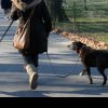 Proprietarii de câini riscă amenzi usturătoare, dacă nu strâng după patrupedul lor sau îl lasă liber pe stradă