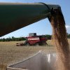 UE: Statele membre și deputații europeni negociază pentru a restricționa afluxul de cereale ucrainene