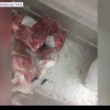 Dezastru la cantina unui liceu din Timișoara: Elevii primeau mâncare expirată și cu excremente de șoareci
