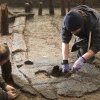 O așezare uimitor de bine păstrată din Epoca Bronzului a fost descoperită în Anglia. Dezastrul care a pus la pământ „Pompeiul britanic”