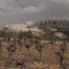 ONU: Creștere record a colonizării Cisiordaniei de către Israel. Peste 400 de palestinieni au fost uciși de la începutul războiului