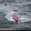 Opt morţi şi doi dispăruţi după ce un vas încărcat cu acid acrilic s-a răsturnat în largul Japoniei