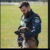 Poliţia Română scoate la concurs 60 de posturi de agent şi conductor de câini. Care sunt condiţiile pentru înscriere