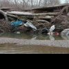 Statul la stat. Cum au ajuns apele României adevărate gropi de gunoi: Dunărea transportă anual aproape 100 de tone de plastic