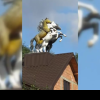 VIDEO. Imagini virale cu statuile a 3 cai în mărime naturală pe acoperișul unei case. Localitatea în care poate fi admirată construcția
