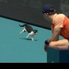 VIDEO Intrusul de la Miami Open. O pisică a întrerupt meciul dintre Venus Williams și Diana Shnaider