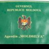 Ultima oră! După ministra Mediului, a demisionat și șeful de la Moldsilva