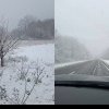 (video) Iarna nu se lasă dusă: În mai multe localități din Moldova ninge