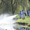 Cât plătește Salubritatea Craiova pentru insecticidele de anul acesta