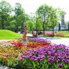 Craiova are a doua cea mai bine cotată grădină botanică din România
