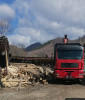 Gorj: Razii în rândul transportatorilor de material lemnos