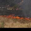 Incendii de vegetație uscată în 6 localități din Gorj