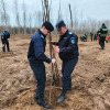 Jandarmii doljeni au plantat puieți de plop la Pisculeț