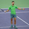 Novak Djokovic a spus pas turneului de la Miami