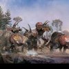 Spielberg avea dreptate: Dinozaurii cu trei coarne au trăit și au murit împreună