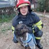 Cățelușă salvată din fântână de pompierii argeșeni