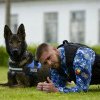 Iubești câinii? Poliția Română angajează conductori de câini