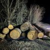 Legalitatea transportului materialului lemnos, în vizorul polițiștilor maramureşeni
