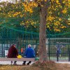 Clujenii trăiesc mai mult decât restul românilor. Speranța de viață la femei, cu 8 ani mai mare decât la bărbați.