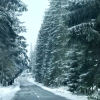 Ninge la munte. Iarna își reintră în drepturi, la Cluj.
