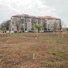 Se face un nou parc în Timișoara, în Zona Lunei/FOTO