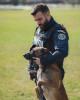 Poliția caută conductor câini în Argeș. Alte 59 de posturi libere în țară