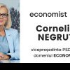 Cornelia Negruț a fost aleasă vicepreședinte PSD pe Domeniul Economic