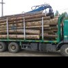 Hoț de lemne reținut la Cluj