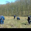 Ziua Jandarmeriei, marcată în Sălaj printr-o acţiune de plantare de puieţi de stejar