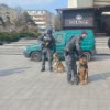 Câinii și mascații Poliției, atracția cea mai mare pentru copii în centrul Sucevei