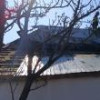 Incendii în locuințele a două femei în vârstă, la Suceava și Mitoc