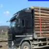 Un nou ansamblu folosit pentru un transport ilegal de material lemnos, indisponibilizat de ...